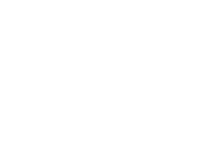 Air Catering International